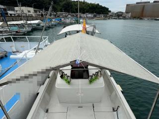 ヤンマー はやかぜEX29Z
