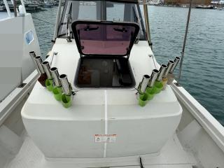 ヤンマー はやかぜEX29Z