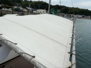 ヤンマー はやかぜEX29Z
