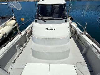 ヤンマー EX38V