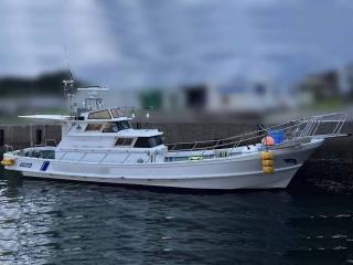 ヤマハ DY43P(G1X)