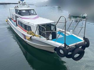 ヤマハ DY39Jカスタム交通船