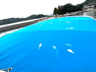 ヤンマー トップランFX24Z-I/B