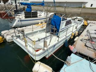 ヤンマー DE27D