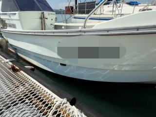 ヤンマー DE27D