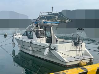 ヤマハ FR34(FG7)