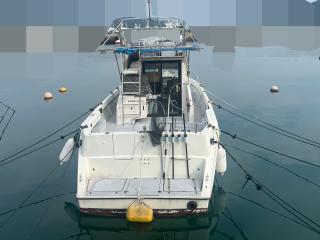 ヤマハ FR34(FG7)