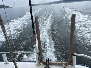 ヤンマー あらしおDE37F