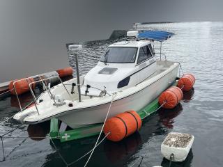 ヤマハ UF28(GEO)