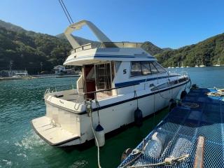ストレブロ STOREBRO ROYAL 340ビスケイ