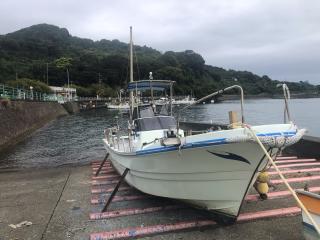ヤンマー DE28DZ とびうお