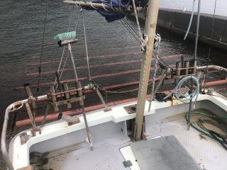 ヤンマー DE28DZ とびうお