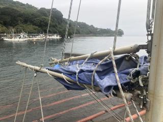 ヤンマー DE28DZ とびうお