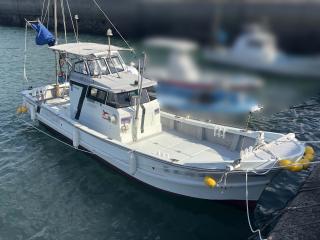 ヤンマー DA28BF