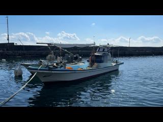 ヤンマー ZD32A3