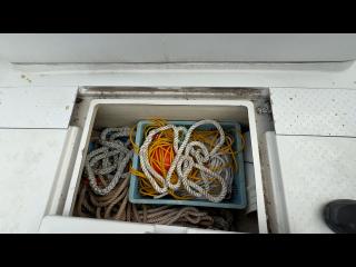ヤンマー はやかぜEX32Z