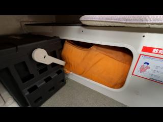 ヤンマー はやかぜEX32Z
