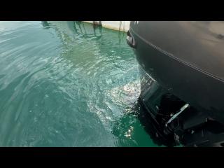 スズキ GF23