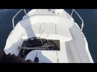 ヤンマー FX24トップラン