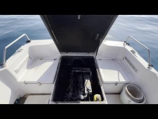 ヤンマー FX24トップラン