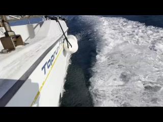 ヤンマー FX24トップラン