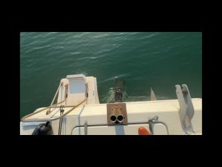 ヤマハ UF23(GTF)