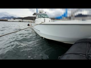 ヤンマー はやかぜEX26B-BS
