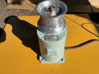 岩崎電気工業ヤングローラー12V250W