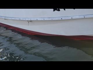 ヤマハ DY39