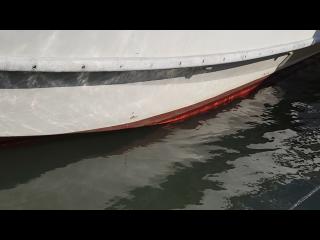 ヤマハ DY39