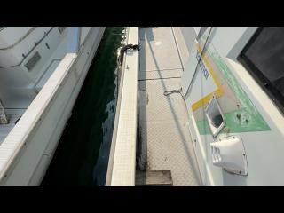 ヤンマー DE28DZ