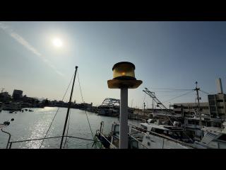 ヤンマー DE28DZ