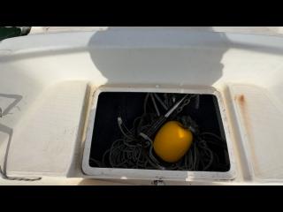 トーハツ 806