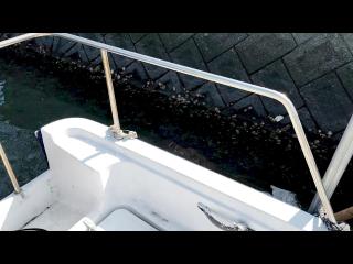 ヤマハ U-19Bf