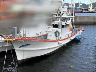 ヤマハ DY48