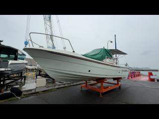 ヤンマー EX29Z