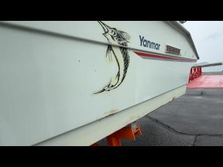 ヤンマー EX29Z