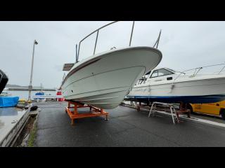 ヤンマー EX29Z