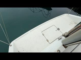 ヤンマー EX29Z