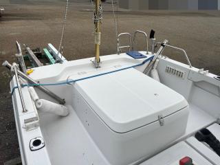 ヤンマー Zarpa26 (LF26BZ-IK)