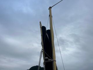 ヤンマー Zarpa26 (LF26BZ-IK)