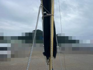 ヤンマー Zarpa26 (LF26BZ-IK)