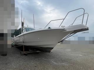 ヤンマー Zarpa26 (LF26BZ-IK)