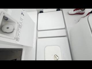 ヤンマー Zarpa26 (LF26BZ-IK)