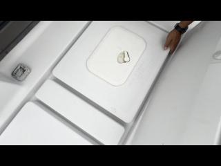 ヤンマー Zarpa26 (LF26BZ-IK)