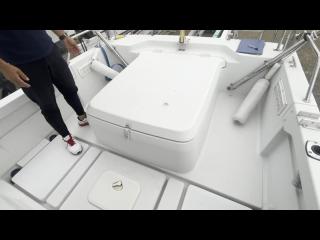ヤンマー Zarpa26 (LF26BZ-IK)