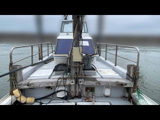 ヤマハ ZD43