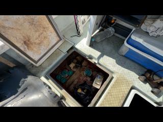 ヤンマー はやしおDE24B