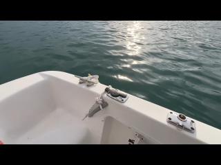 トノクラフト ランファン22